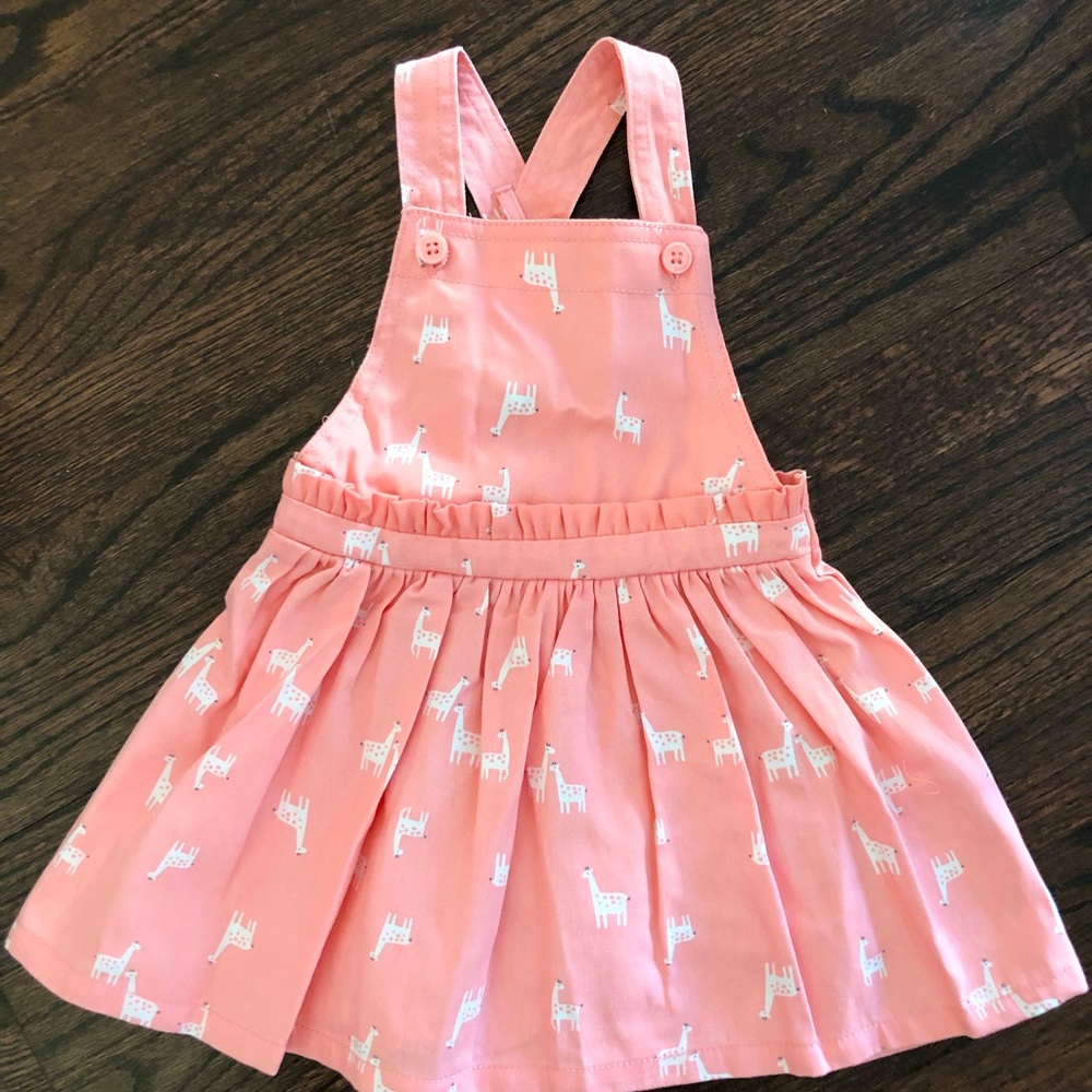 Peachy Pink Skirtall by Carter’s. Size is 18 Month. Never Worn or washed.